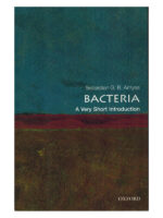 Bacteria